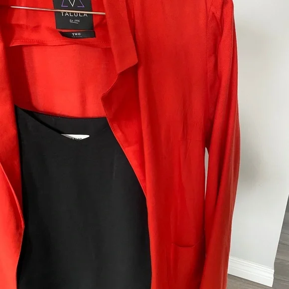 Aritzia Blazer - Picture 2 of 3